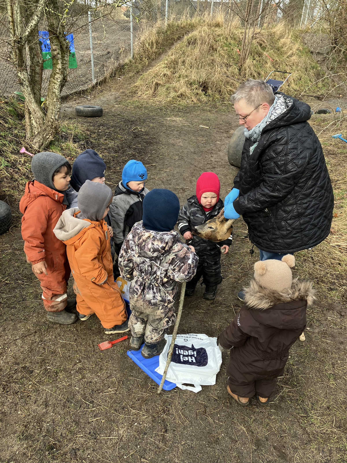 Børn kigger på dyrehoved i Børnehuset Mælkevejen